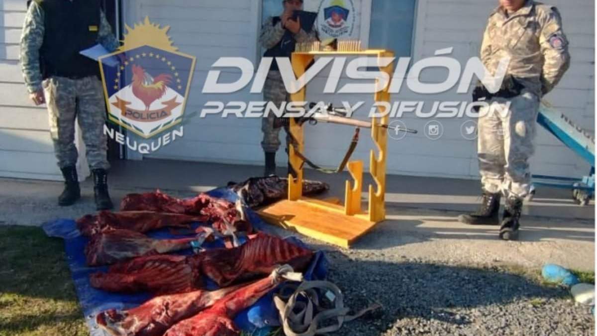 Los cazadores furtivos fueron encontrados por personal de la Policía en Junín. Fuente: (Policía Neuquén).