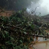 Mujer muere tras desgajarse un cerro en Oaxaca; van 22 fallecidos en lo que va del año por lluvias