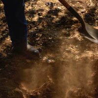 En busca de los desaparecidos en Sinaloa (II)