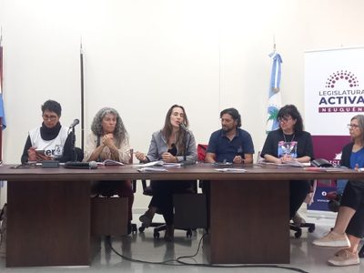 Ley 2302: en audiencia pública exigieron la derogación de la Resolución 19