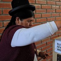 La pericia internacional confirmó que no hubo manipulación en las elecciones de Bolivia de 2019