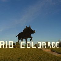 Río Colorado: el gran invento para atender pacientes con coronavirus