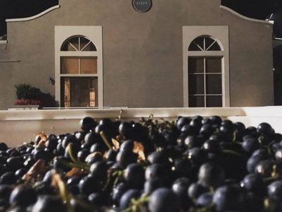 Una bodega mendocina exportó un container con sus vinos a Australia