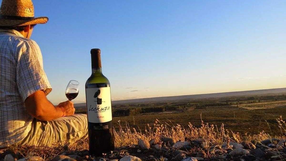 Enoturismo en la Patagonia. Fuente: (Instagram).