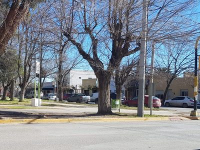 Jóvenes vandalizaron comercios del Casco Viejo de Centenario