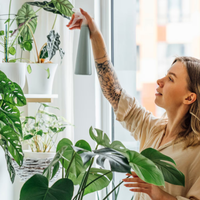 3 plantas que crecen súper rápido y que pueden vivir en interior o exterior