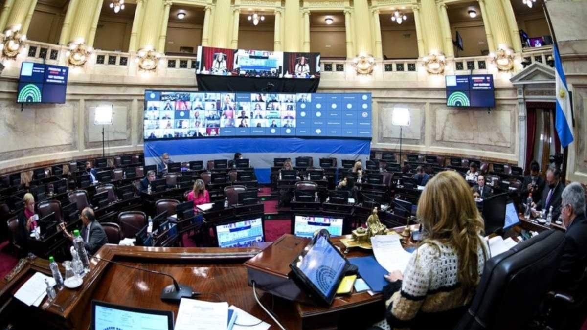 Cámara de Senadores. Fuente: (Twitter)