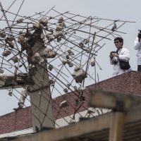 La PGJ ofrece 5 mdp de recompensa para ubicar a "Miss Mónica", directora del colegio Rébsamen