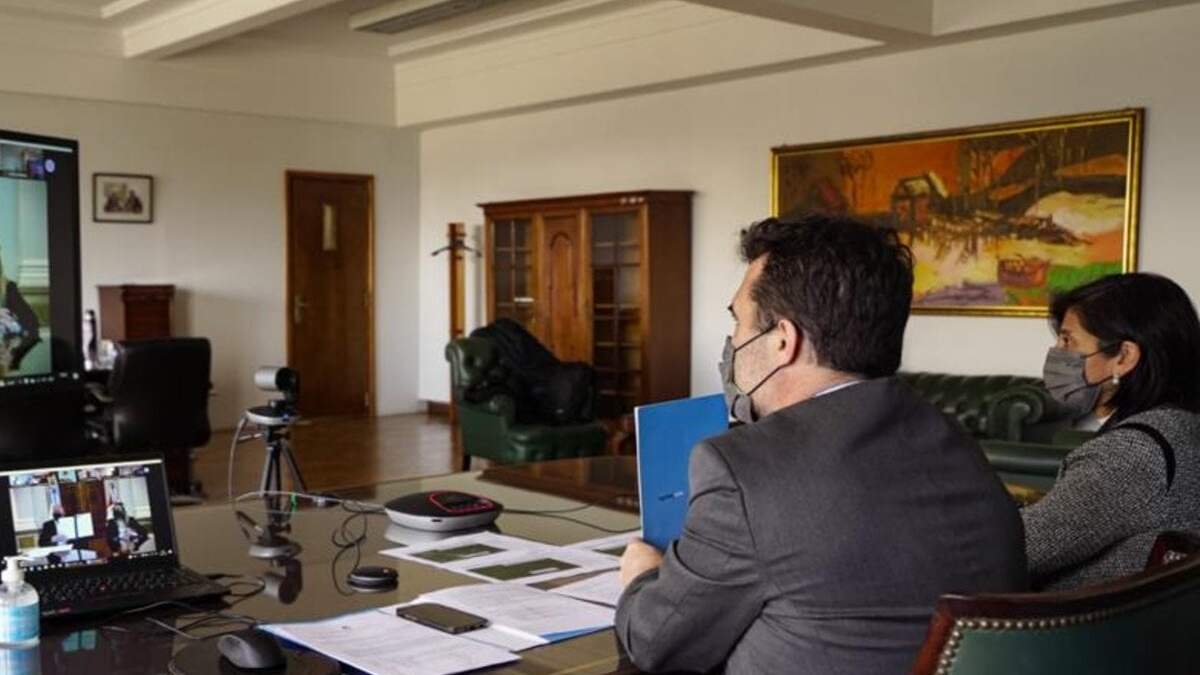 Darío Martínez, secretario de Energía, durante la videoconferencia. Fuente: (Twitter)