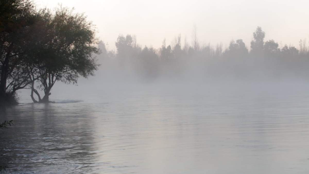 Mañanas heladas en la ciudad de Neuquén. Fuente: (Emiliano ortiz)