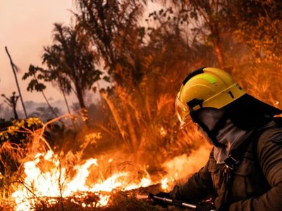 Brasil registró un récord histórico de incendios forestales en 2024