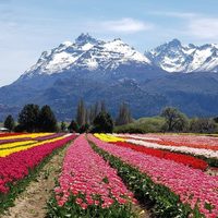 Solo para amantes de la naturaleza: Trevelin, en Chubut, se prepara para el turismo