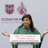 Gobierno de Brugada admite que existen redes de corrupción en torno a las invasiones