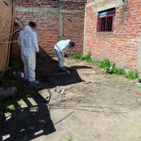 Restos hallados en La Troje no corresponden a los cinco jóvenes de Lagos de Moreno: Alfaro