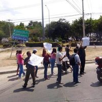 Detienen a activistas que protestaban contra tala de árboles en León