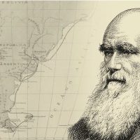 Charles Darwin y el concepto de la evolución: un pensamiento revolucionario