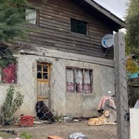 Una mujer y su hija de 4 años fueron atacadas por dos perros