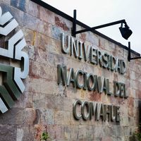 Decisión hasta 2021: se definió cómo serán las clases en la UNCo