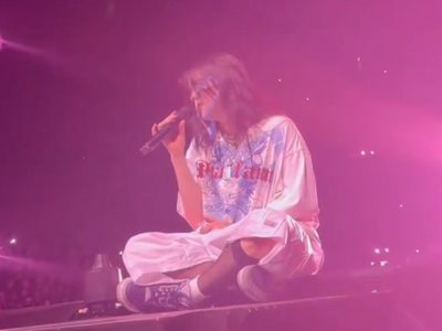 Golpean a Billie Eilish en la cara con un objeto durante un concierto (Videos)