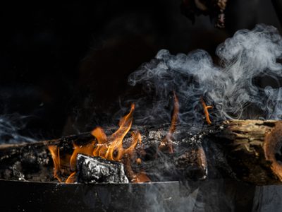 Conocé cómo utilizar las cenizas del asado en el jardín