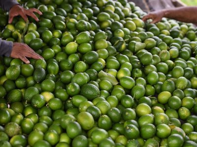 Los alimentos con vitamina C ayudan a aliviar las reacciones alérgicas. Esto dice una experta