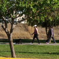 Clima en Neuquén: la semana termina sin viento