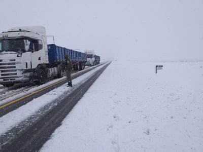 Temporal de nieve: Ruta 40 y 22, intransitables