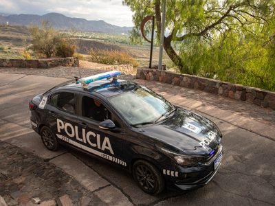 Diez detenidos con casi 300 kilos de carne en mal estado