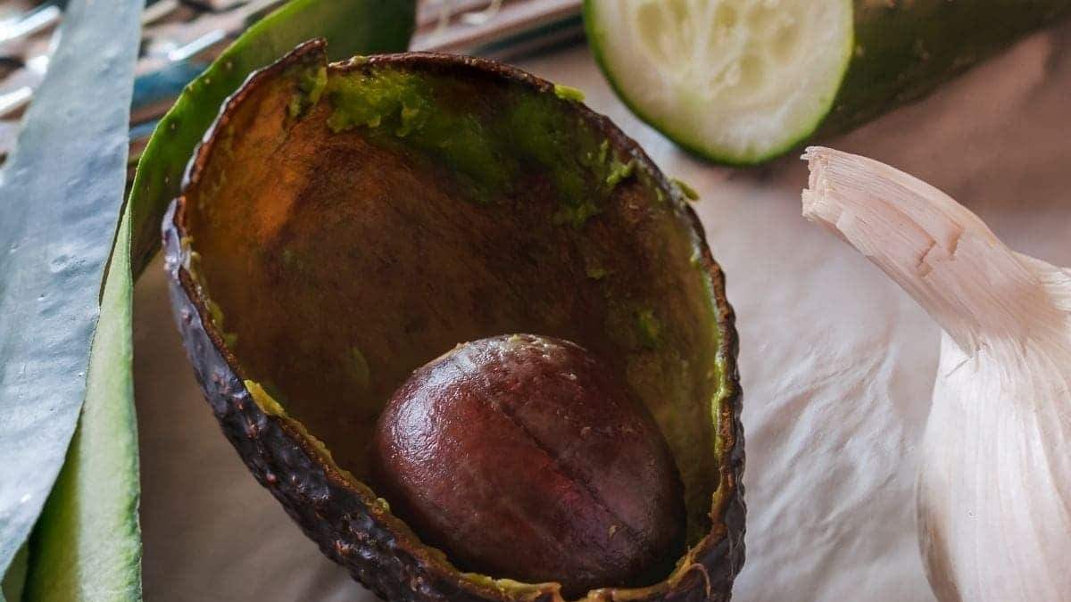 Cáscaras de palta. Fuente: (X)