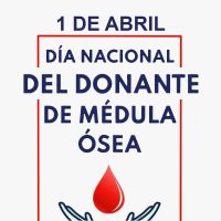 Por qué hoy se celebra el Día del Donante de Médula Ósea y cuántas vidas se salvan gracias a ellos