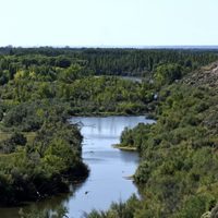 Neuquén Capital: lagunas artificiales ¿en riesgo de extinción?