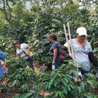 Pese a fricción con fiscalía, colectivo rescata 11 cuerpos de fosa en Ixtaczoquitlán