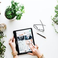 5 errores que todo el mundo comete cuando compra una planta nueva