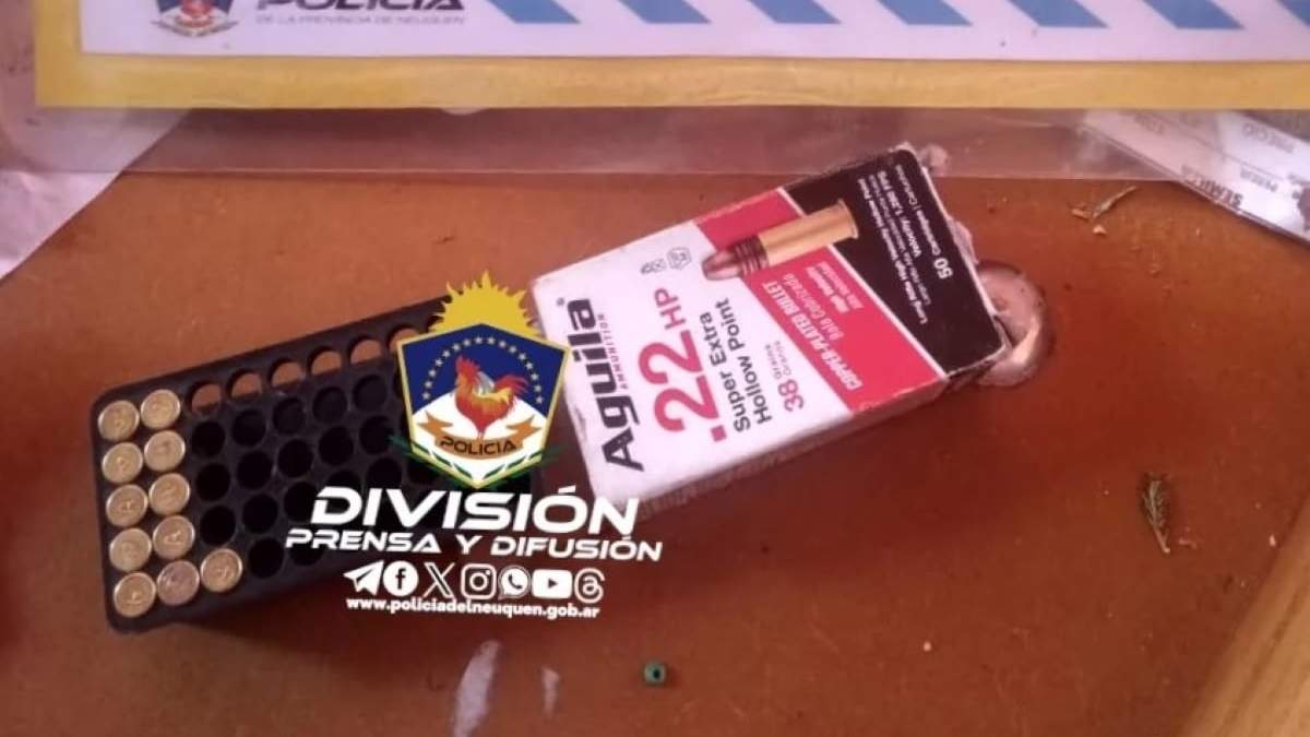 Municiones secuestradas. Fuente: (Policía de Neuquén)