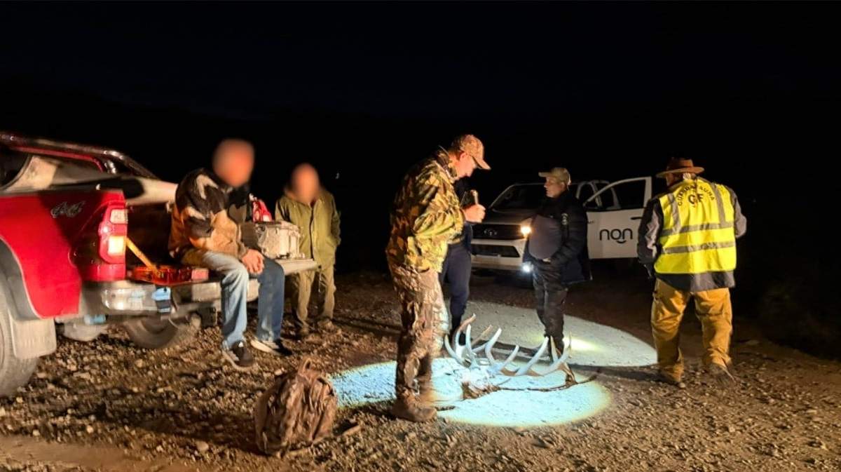 Los cazadores furtivos deberán pagar una millonaria multa y realizar trabajos comunitarios. Fuente: (MPF)