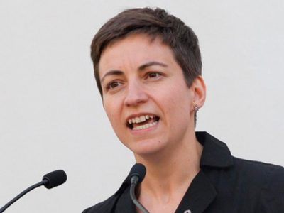 PVEM impone 'el poder del dinero” a los verdes europeos
