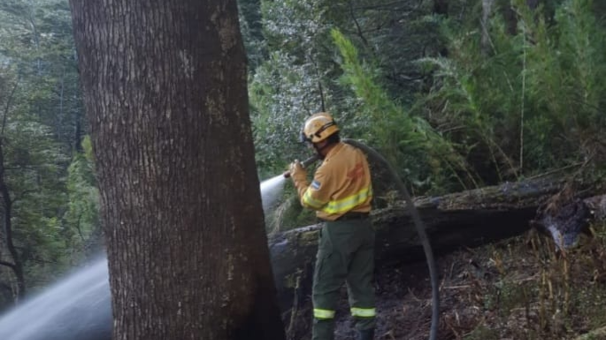 Control de incendio en el Parque Nacional Lanín. Fuente: (Facebook)