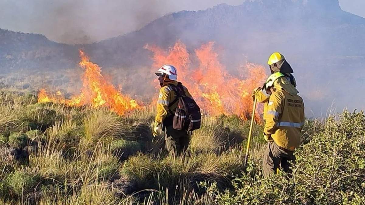 El gobierno  busca frenar el impacto ambiental de los incendios en bosques nativos. Fuente: (Gobierno de Neuquén)