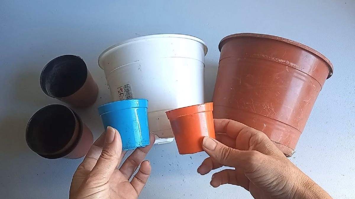 Reciclaje. Fuente: (Instagram)