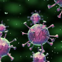 El coronavirus avanza: Neuquén suma 25  nuevos positivos. Atención