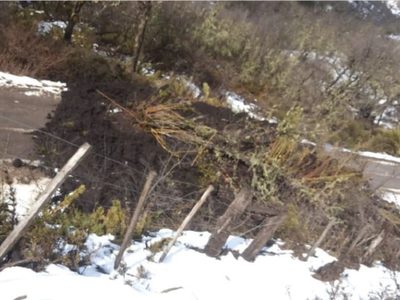 Un derrumbe cortó el tránsito en el ingreso a Quila Quina en San Martín de los Andes