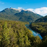 Parque Nacional Los Alerces te espera: el rincón soñado de la Patagonia que merece estar en tu próximo viaje