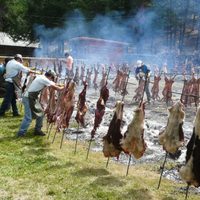 Todas las fiestas que se celebrarán desde ahora y hasta el verano en Neuquén