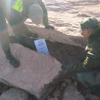 Gendarmería Nacional extrajo un resto fósil en el Lago Los Barreales