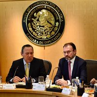 México acudirá a organismos multilaterales para defender a mexicanos en el exterior: Videgaray