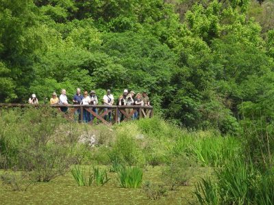 Turismo de naturaleza: viajes a las provincias para avistar aves