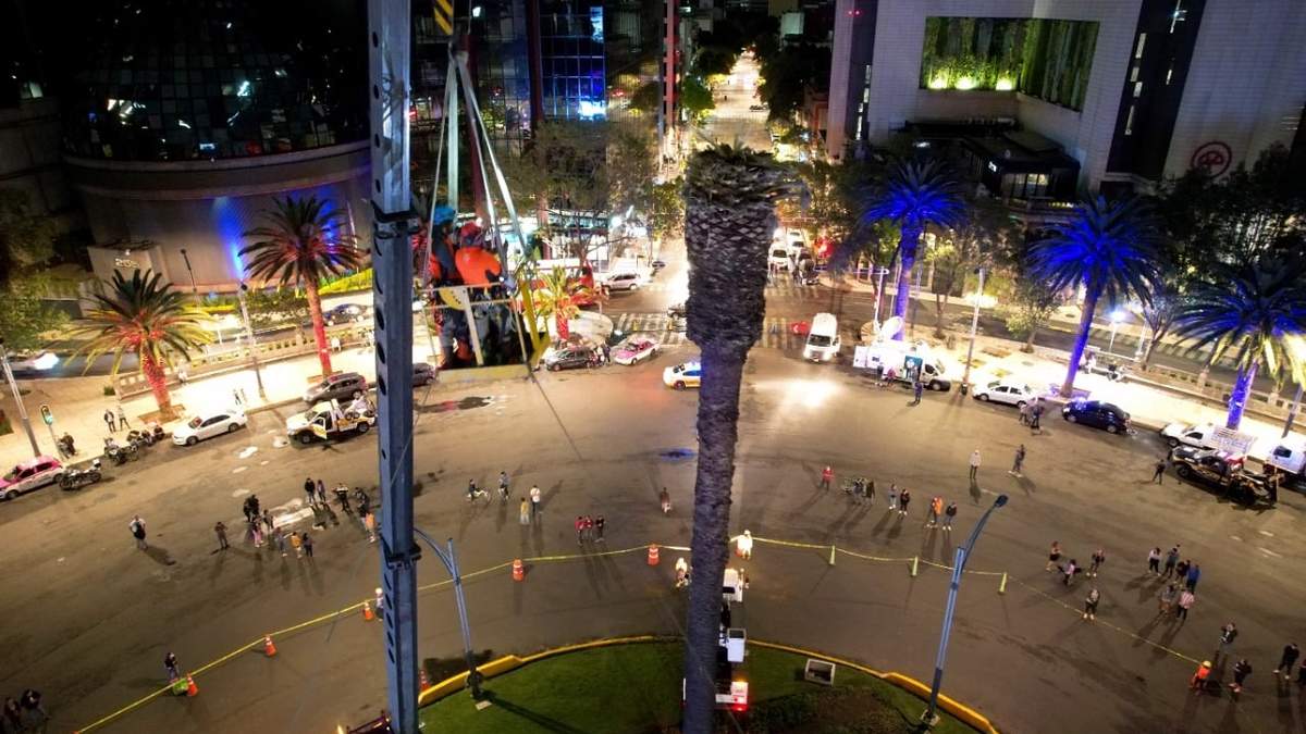 El retiro de la palma después de 100 años