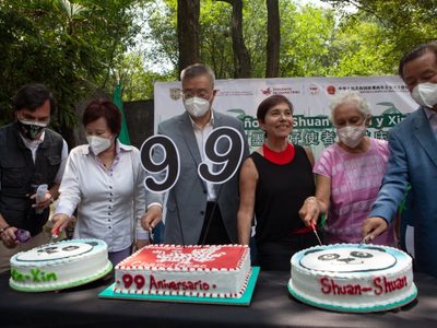 Así fue el festejo por los 99 años del Zoológico de Chapultepec y el cumpleaños de dos pandas