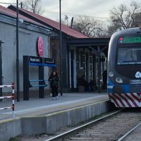 Elecciones PASO: subirse al colectivo o al Tren del Valle será gratis
