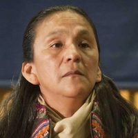 Fernández considera que Milagro Sala "no es una presa política" sino una "detenida arbitraria"